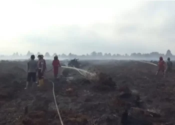 Hujan Mulai Jarang, Jambi Masuk Zona Rawan Karhutla Awal 2026