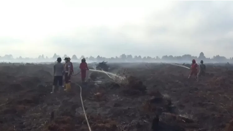 Hujan Mulai Jarang, Jambi Masuk Zona Rawan Karhutla Awal 2026