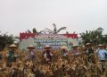 Wakapolda Jambi Bersama Wagub Jambi dan Kapolres Muaro Jambi Hadiri Panen Raya Jagung Serentak Kuartal I di Desa Tunas Mudo
