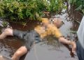 Jasad Pria Ditemukan Mengapung di Sungai Mendahara