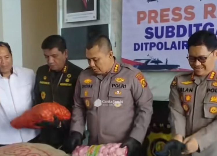 Lomba Pacu Perahu Tradisional Peringatan HUT ke-69 Provinsi Jambi Berlangsung Meriah