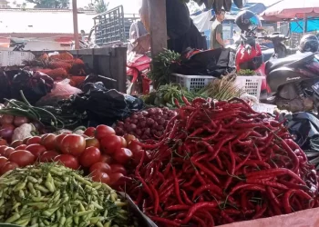 Jelang Ramadhan 1447 H, Harga Cabai di Tebo Melejit! Tembus Rp50 Ribu per Kg