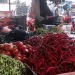 Jelang Ramadhan 1447 H, Harga Cabai di Tebo Melejit! Tembus Rp50 Ribu per Kg