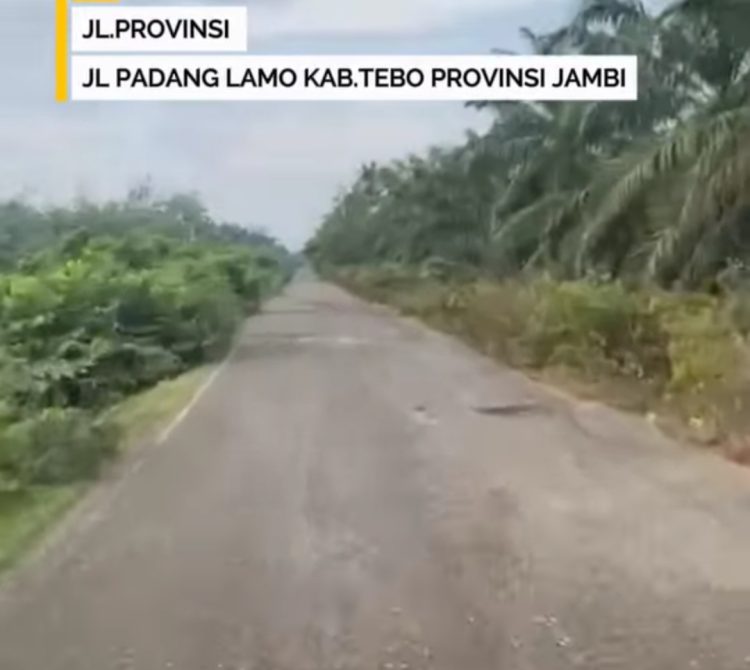 Kondisi Jalan Padang Lamo Dikeluhkan Warga
