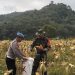 Bersama Masyarakat Baru Kibul, Jajaran Polsek Tabir Ulu Panen Jagung Perdana Melimpah.