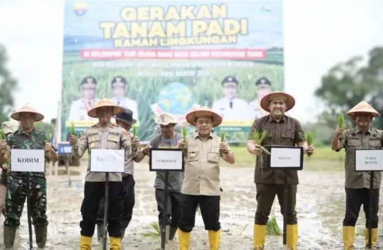 Dari Merangin, Al Haris Tegaskan Jambi Harus Lepas dari Ketergantungan Beras Impor
