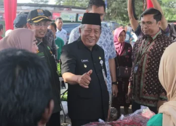 Sinergi Perkuat Ketahanan Pangan, Pemprov Jambi Gelar Gerakan Pasar Murah Serentak