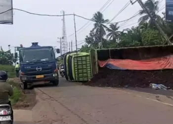 Truk Batu Bara Terguling di Tempino, Lalu Lintas Sempat Lumpuh Sejak Subuh