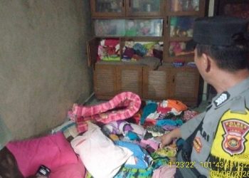 Jelang Lebaran, Wali Kota dan Wawako Jambi Sidak ke Pasar Talang Banjar