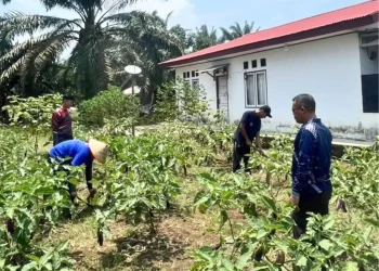 Ramadan Tak Surutkan Semangat Warga Binaan Lapas Muara Tebo Garap Lahan SAE
