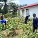 Ramadan Tak Surutkan Semangat Warga Binaan Lapas Muara Tebo Garap Lahan SAE