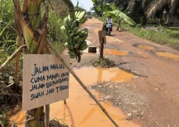 Jalan Mulus Cuma Mimpi, Warga Talang Belido Tanam Pohon Pisang di Jalanan Rusak