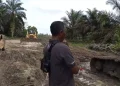 Mulai Gerah! Pemkab Muaro Jambi Desak PT SAS Segera Selesaikan Jalan Khusus Batubara