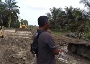 Mulai Gerah! Pemkab Muaro Jambi Desak PT SAS Segera Selesaikan Jalan Khusus Batubara