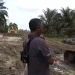 Mulai Gerah! Pemkab Muaro Jambi Desak PT SAS Segera Selesaikan Jalan Khusus Batubara
