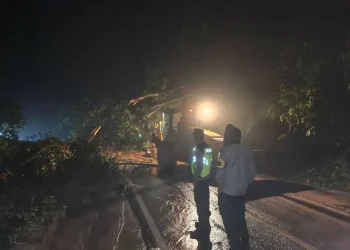 Longsor dan Pohon Tumbang di Jalur Sungai Penuh–Tapan, Akses Truk Masih Terhambat , ini Himbauan Polres Kerinci