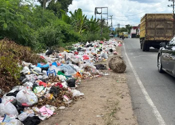 Sampah Menumpuk di Mendalo Darat, Pengangkutan Harian Tak Mampu Atasi Krisis