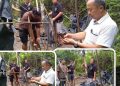 Polsek Sekernan Bongkar Basecamp Narkoba di Desa Tunas Mudo