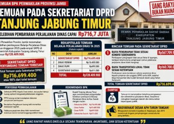 BPK Temukan Kelebihan Bayar Perjalanan Dinas di Tanjabtim Rp728 Juta, Sekretariat DPRD Jadi Penyumbang Terbesar