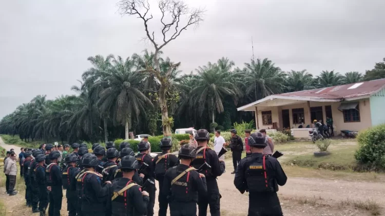 Dipicu Salah Paham TBS, Konflik SAD–PT SAL Pecah, Aparat Perkuat Mediasi dan Pengamanan