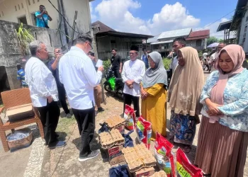 Fasha Tinjau Lokasi Kebakaran di Pelayangan, Serahkan Bantuan untuk Korban