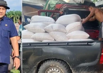 Pemkab Merangin Jual Hasil Panen Jagung Program Ketahanan Pangan ke Bulog