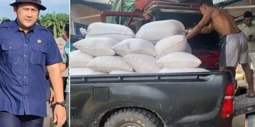 Pemkab Merangin Jual Hasil Panen Jagung Program Ketahanan Pangan ke Bulog