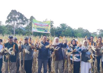 Panen Lagi, Visi Besar Bupati M. Syukur Perkuat Ketahanan Pangan