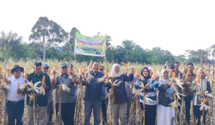 Panen Lagi, Visi Besar Bupati M. Syukur Perkuat Ketahanan Pangan