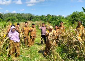 Dukung Program Pangan Murah: Polsek Rimbo Ulu Ambil Beras SPHP di Bulog