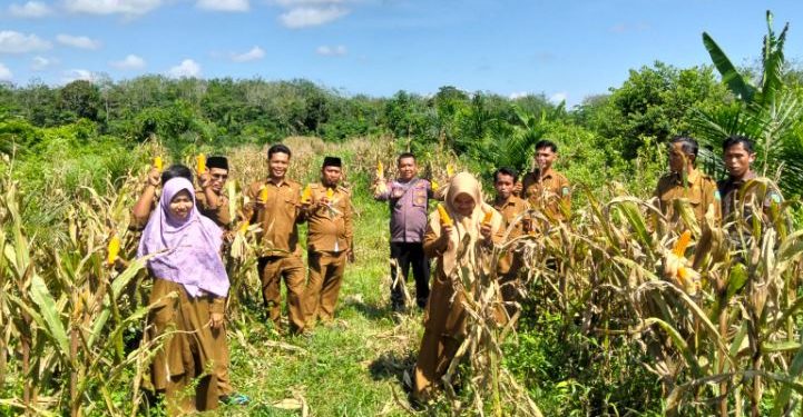 Dukung Program Pangan Murah: Polsek Rimbo Ulu Ambil Beras SPHP di Bulog