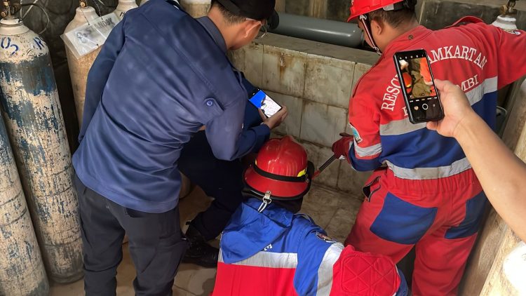 Ular Sanca Masuk Ruang Oksigen RS Kambang, Berhasil Dievakuasi Damkartan Kota Jambi