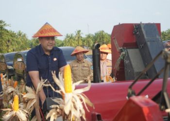 Potensi Panen Capai Rp 1 Milyar, Bupati M. Syukur Yakin Merangin Jadi Lumbung Pangan Jambi