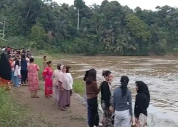 Sumatera Blackout, Seluruh Wilayah Jambi Terdampak Pemadaman Listrik Serentak