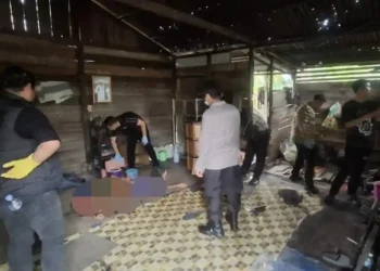 Lansia di Tanjab Barat Ditemukan Bersimbah Darah di Dalam Pondok Kebun, Diduga Dibunuh