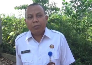 Pemprov Jambi Belum Buka Formasi CPNS 2026, Prioritaskan Penyelesaian PPPK