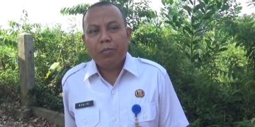 Pemprov Jambi Belum Buka Formasi CPNS 2026, Prioritaskan Penyelesaian PPPK