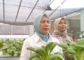 Wakapolda Jambi Hadiri Rapat Konsolidasi Program Makan Bergizi Gratis, Perkuat Sinergi dan Pengawasan Pelaksanaan