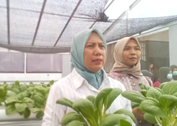 Wakapolda Jambi Hadiri Rapat Konsolidasi Program Makan Bergizi Gratis, Perkuat Sinergi dan Pengawasan Pelaksanaan