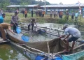 Inisiatif Kapolsek Tabir Ulu Ubah PETI Jadi Sumber Ekonomi Baru