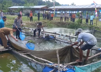 Inisiatif Kapolsek Tabir Ulu Ubah PETI Jadi Sumber Ekonomi Baru