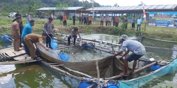 Inisiatif Kapolsek Tabir Ulu Ubah PETI Jadi Sumber Ekonomi Baru