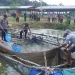 Inisiatif Kapolsek Tabir Ulu Ubah PETI Jadi Sumber Ekonomi Baru