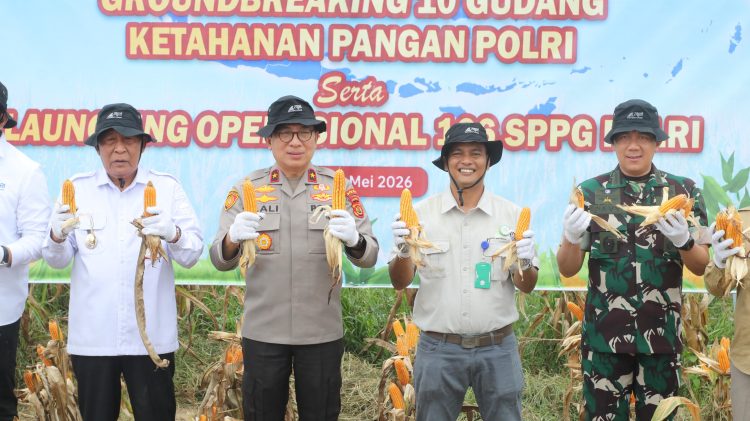 Pemkab Muaro Jambi Bersama PT. Brahma Binabakti Panen Jagung Serentak