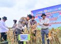 Polda Jambi Gelar Panen Raya Jagung Serentak Kuartal II 2026, Dukung Program Ketahanan Pangan Nasional