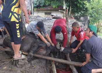 Ditlantas Polda Jambi Berbagi Makanan Gratis di Hari Jum’at Kepada Masyarakat