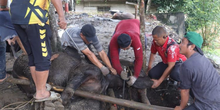 Ditlantas Polda Jambi Berbagi Makanan Gratis di Hari Jum’at Kepada Masyarakat
