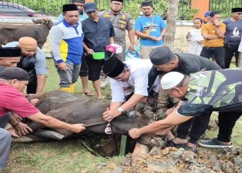 Pimpin Penyembelihan 89 Hewan Kurban, Bupati Anwar Sadat: Bentuk Empati dan Jiwa Sosial ASN Tanjab Barat