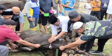 Pimpin Penyembelihan 89 Hewan Kurban, Bupati Anwar Sadat: Bentuk Empati dan Jiwa Sosial ASN Tanjab Barat