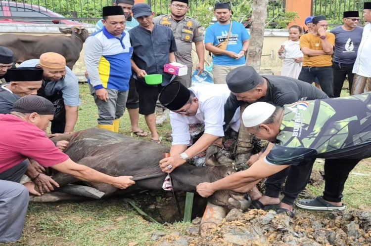Pimpin Penyembelihan 89 Hewan Kurban, Bupati Anwar Sadat: Bentuk Empati dan Jiwa Sosial ASN Tanjab Barat